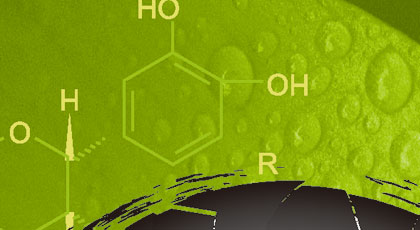 海报设计，广告设计，招贴设计，展板设计，平面设计，报纸广告设计，杂志广告设计，网站广告设计，互联网广告设计，banner设计，易拉宝设计，一拉报设计